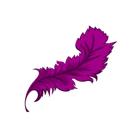 Decorative Feather on a white background. Vector illustrationのイラスト素材