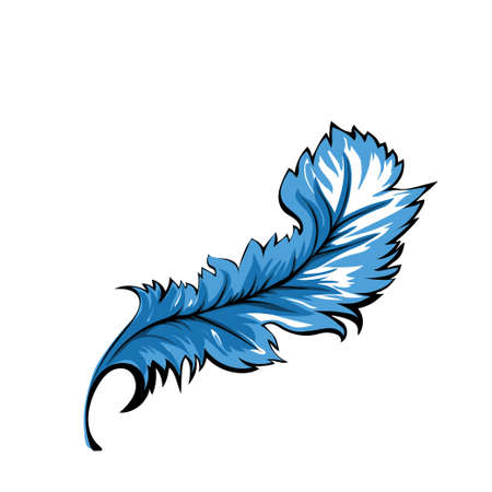 Blue decorative Feather on a white background. Vector illustrationのイラスト素材