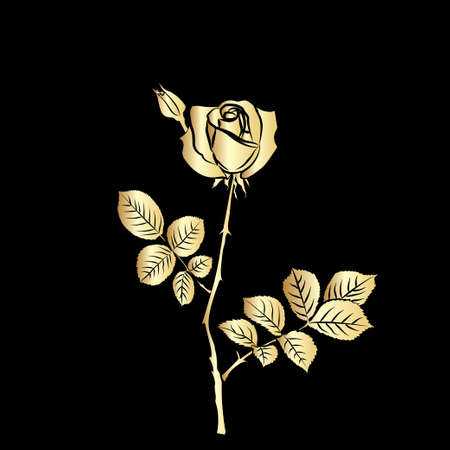 Rose sketch. Golden outline on black background. Vector illustration.のイラスト素材