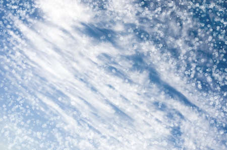 White falling snowflakes on the  blue backgroundの写真素材