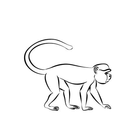 Monkey sitting on a branch. Vector illustration, sketchのイラスト素材
