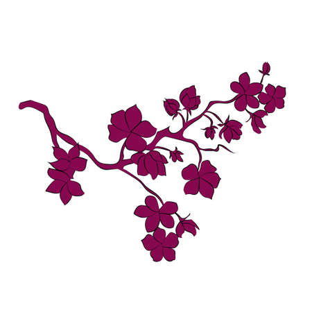 Pink twig sakura blossoms. Vector illustration. Color Silhouetteのイラスト素材