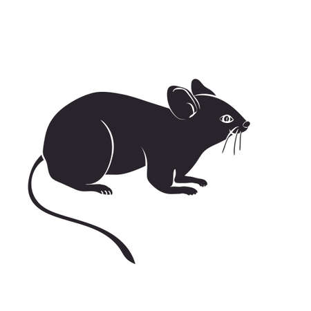 vector silhouette of the mouse  on white backgroundのイラスト素材