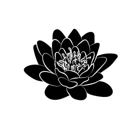 Black silhouette of lotus flowers icon on a white backgroundのイラスト素材