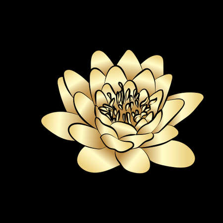 Golden silhouette of lotus flowers icon on black background. Vector illustrationのイラスト素材