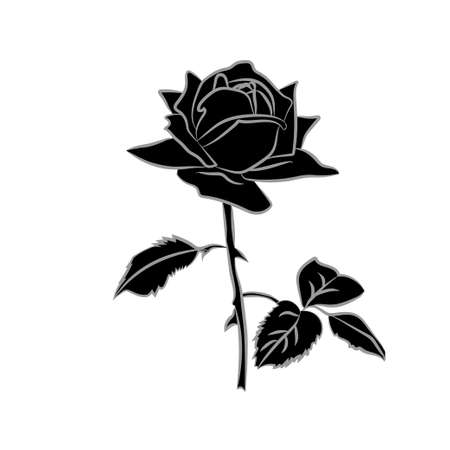 silhouette of rose isolated on white background. Vector illustration.のイラスト素材