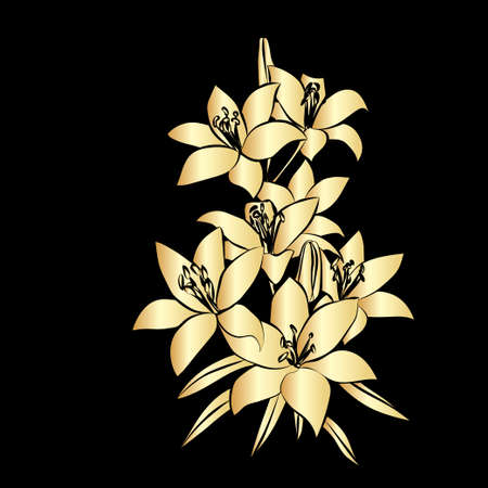 Silhouette Lily. Golden outline on black background. illustration.のイラスト素材