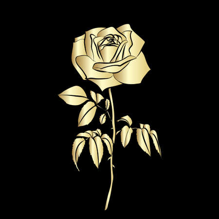 Golden silhouette of rose isolated on black background. illustration.のイラスト素材