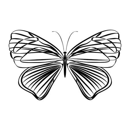 Fantasy butterfly on white background. Abstract design. Vector illustration.のイラスト素材