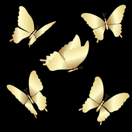 Gold Lace butterfly on black backgroundのイラスト素材