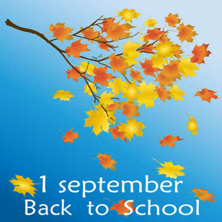 Bright autumn maple leaves. Back to school.Square frame. Vector illustration.のイラスト素材
