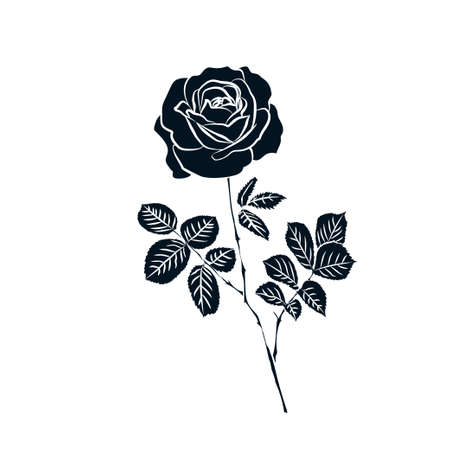 silhouette of rose isolated on white background. Vector illustration.のイラスト素材
