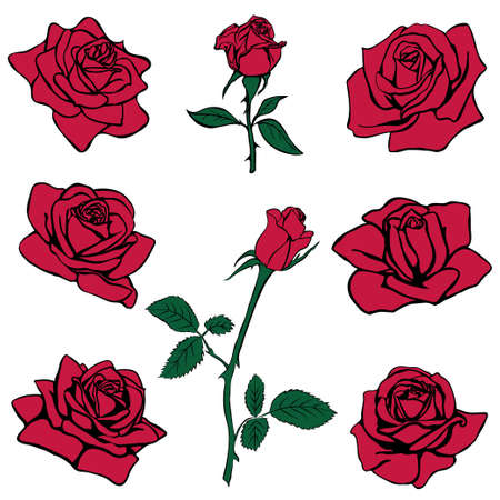Silhouettes of roses isolated on white background. Vector illustration.のイラスト素材
