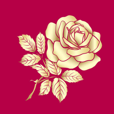 Golden Rose sketchのイラスト素材