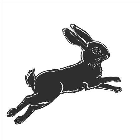 Black silhouette rabbit on white backgroundのイラスト素材