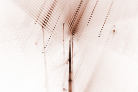 abstract fractal background. color fireworks. Abstract painting multicolor texture. motion holiday background. Modern multicolor futuristic dynamic pattern. Fractal artwork for creative graphic designの写真素材