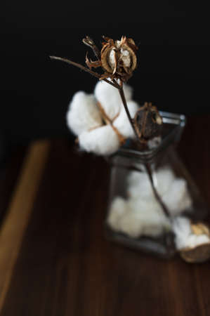 high contrasted in low-key lightning photo with the soft focus of a cotton flower in a vase on a wooden table over the black backgroundの写真素材
