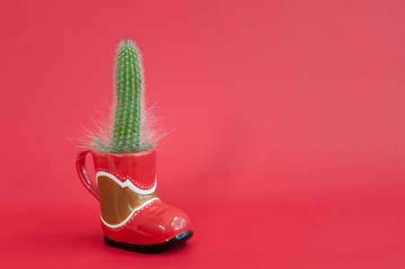 the horizontal photo of a cactus in a cowboy boot pot over the red backgroundの写真素材
