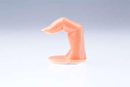 plastic model of finger for training to manicure nailsの写真素材