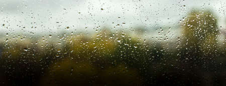 Rain drops on the window in the big city. trees on the backgroundの写真素材