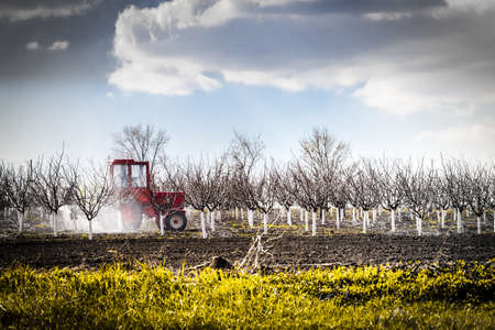 red tractor in a field waters garden, creative backgroundの写真素材