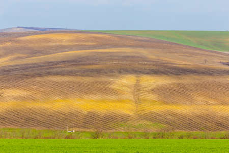 view of spring field. Countryside in springの写真素材