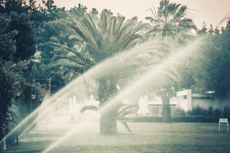 Blur or defocus image of sprinkle the lawn with palm in Grece camping, backgroundの写真素材