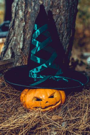 symbol of halloween, scarry jack pumpkin in witch hat, backgroundの写真素材