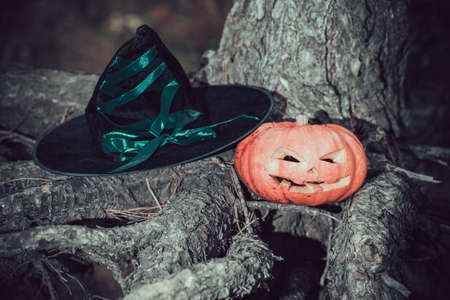 halloween background, scarry jack pumpkin in witch hat.の写真素材