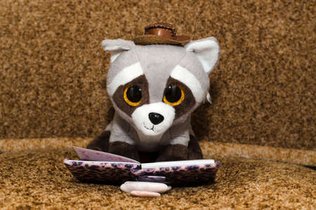 plush raccoon in hat reading a bookの写真素材