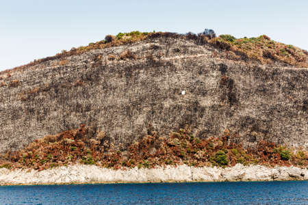 The view from the sea to the rocky beach with a variety of treesの写真素材
