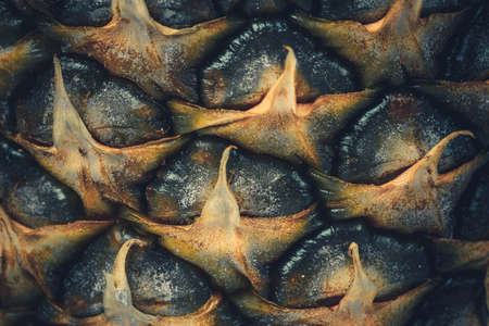 pineapple surface texture, close-up photo, creative processingの写真素材