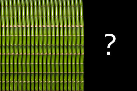 green bamboo depicted in half a picture, with a question mark to the left, an image on a black...