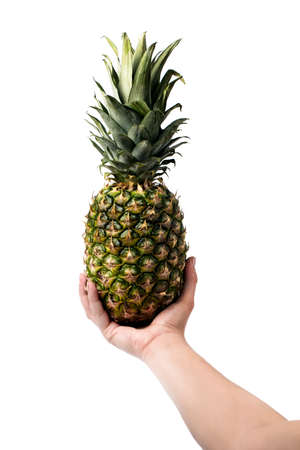 pineapple in hand isolated on white backgroundの写真素材
