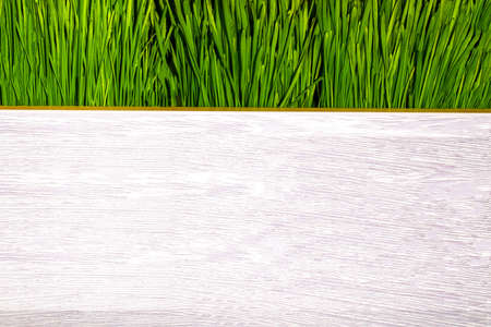 green grass with space for text on a light wooden part, background image, business cardの写真素材