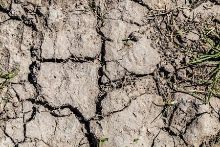 dry, cracked earth photo close-up with huge slits, background image