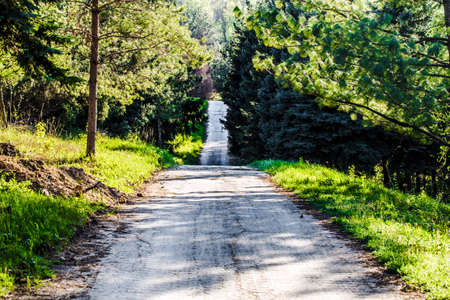 empty road going into the distance in a green parkの写真素材