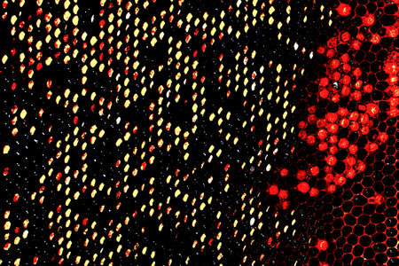honeycomb background image, the concept of the World Wide Web