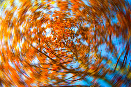 beautiful golden autumn photo, motion blured background imageの写真素材