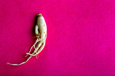 ginseng on a pink background with space for textの写真素材