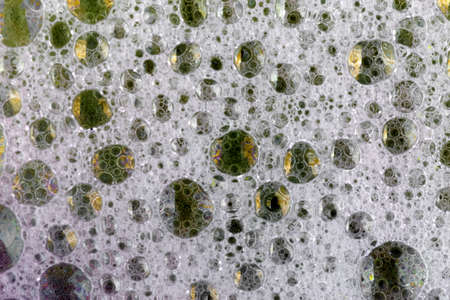 photo of foam with bubbles, closeup background image