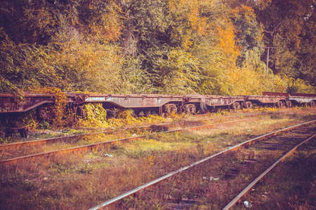 railroad stretching into the distance against the backdrop of the autumn landscapeの写真素材