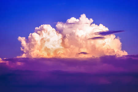 agricultural black and green fields on the background beautiful skyの写真素材