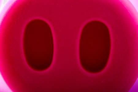 piglet closeup pink pig money box