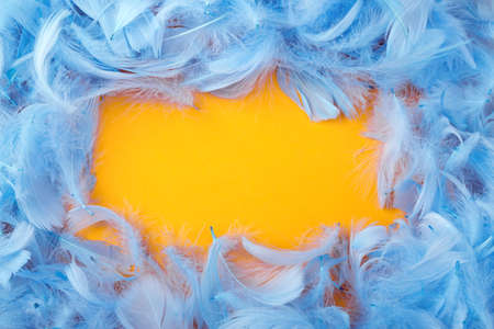 frame of decorative blue feathers on an orange backgroundの写真素材