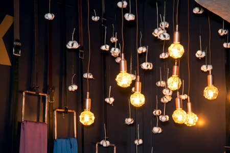 Included lights bulbs from the ceiling, toned background image