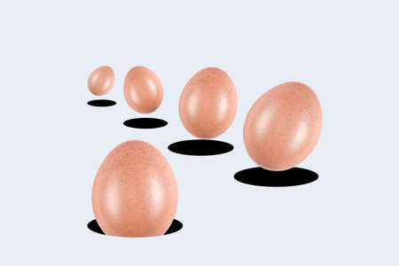 Easter eggs fall into the mink rabbits