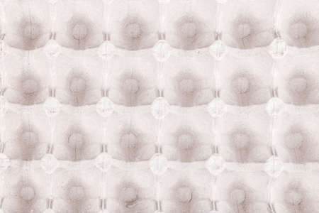 empty egg box, background photo