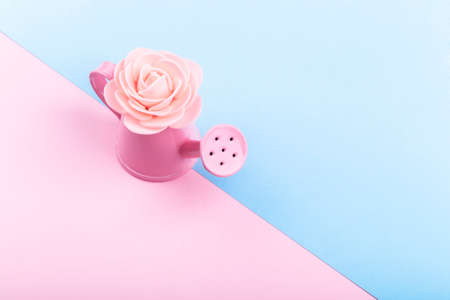 pink watering can with artificial rose on a colored background