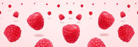 Raspberries levitating over pink background, panoramic image, food background with summer berries....